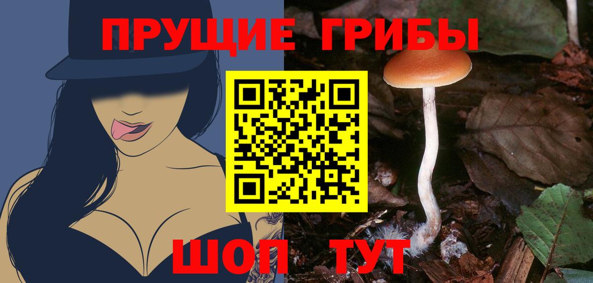 Лобня  Псилоцибиновые грибы прущие грибы  Вход с VPN 