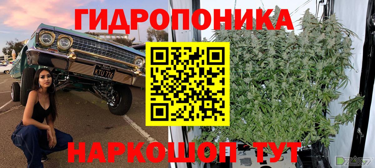 Бошки марихуана Bruce Banner Лобня